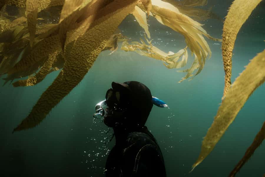 Discover Tumbatu Island: Private Snorkeling Adventure - Safety, sea conditions, and shallow coral