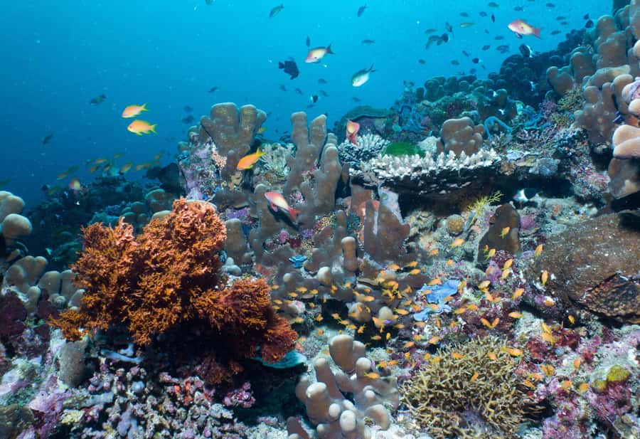 Discover Tumbatu Island: Private Snorkeling Adventure - Who should book this experience?