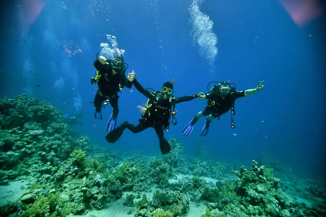 Diving And Snorkeling To Ras Mohamed And White Island By VIP Boat - Key points to know before booking
