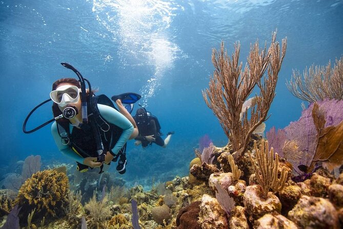 Diving And Snorkeling To Ras Mohamed And White Island By VIP Boat - Lunch, drinks, and the practical comforts