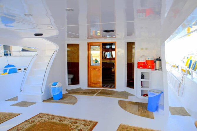 Diving And Snorkeling To Ras Mohamed And White Island By VIP Boat - Timing, weather, and comfort