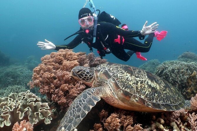 Diving And Snorkeling To Ras Mohamed And White Island By VIP Boat - Who will enjoy this trip most