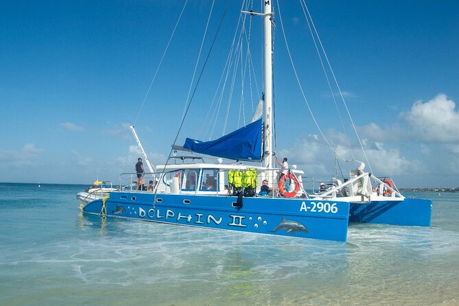 Dolphin Catamaran Snorkel and Sail with Open Bar - Lunch and the open bar require modest expectations