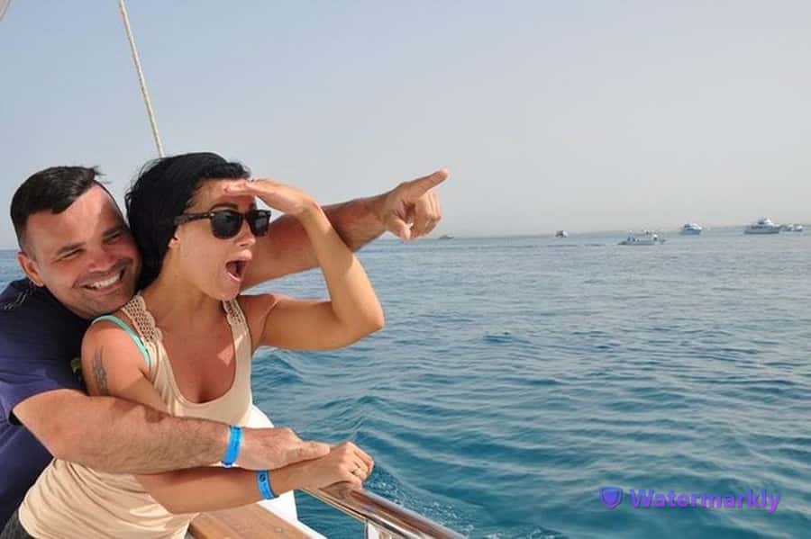 Dolphin house snorkeling trip - Key points to know before booking