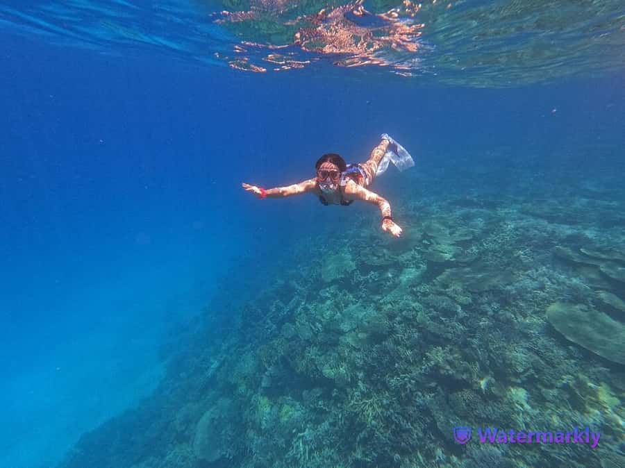 Dolphin house snorkeling trip - Leaving Hurghada for a full day on the Red Sea