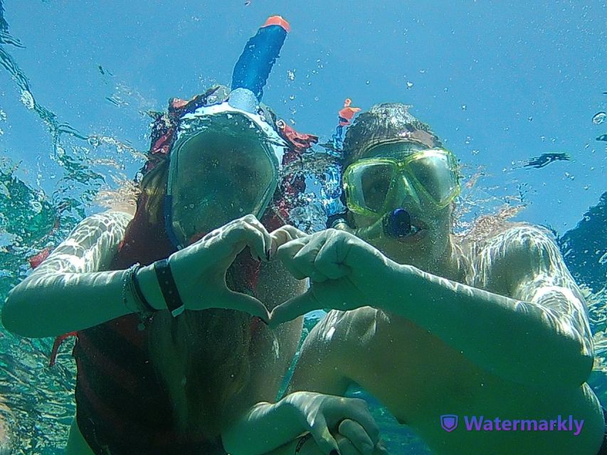 Dolphin house snorkeling trip - A relaxed boat day, with a social feel