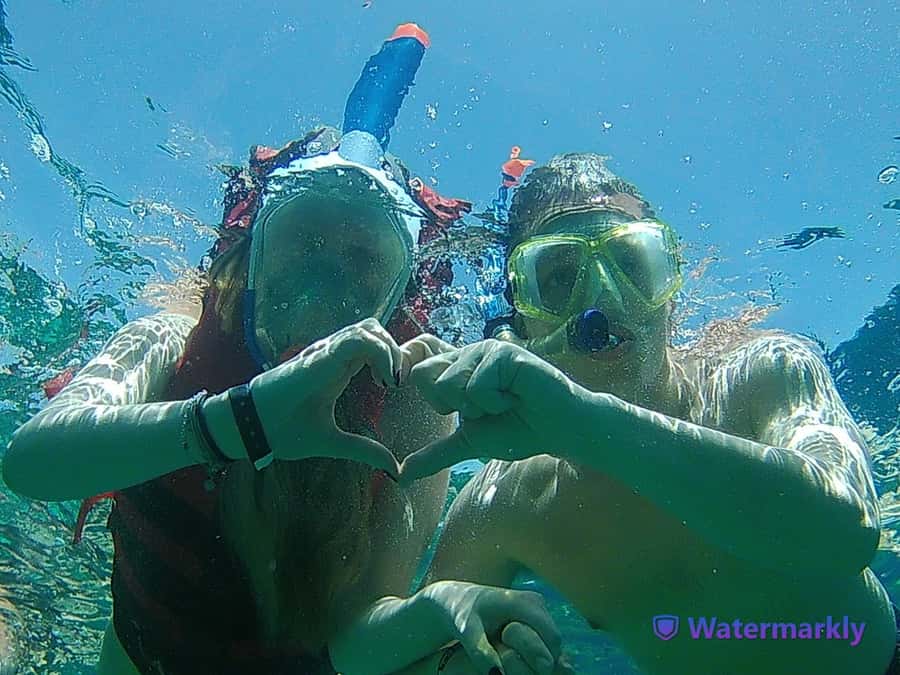 Dolphin house snorkeling trip - Is $53 good value?