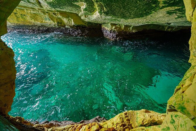 Dolphin, Sea Cave, Captain Cook, Kealakekua Bay Reef Snorkeling - A fast start from the Kona Coast