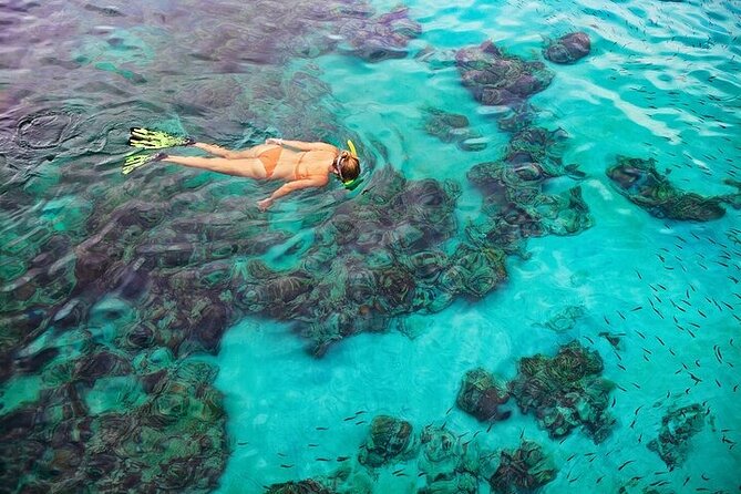 Dolphin, Sea Cave & Captain Cook Snorkel Combo in Kealakekua Bay - A fast start from Kailua-Kona