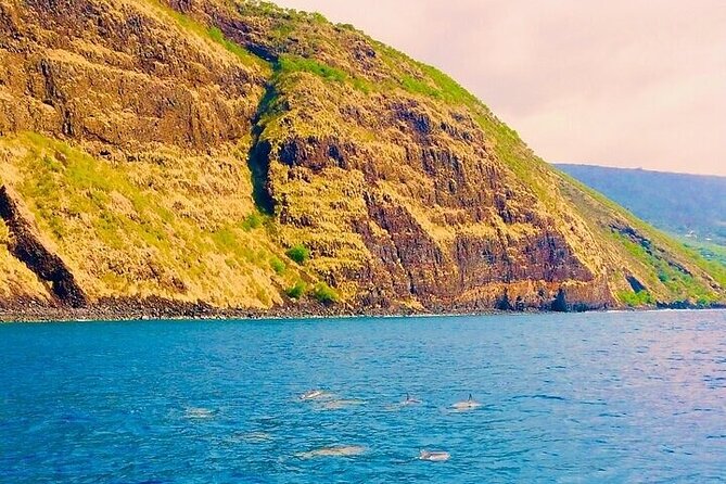 Dolphin, Sea Cave & Captain Cook Snorkel Combo in Kealakekua Bay - Equipment, snacks, and the real value of $83.95