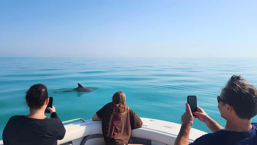 Dolphin & Snorkeling Key West - Key points to know before booking