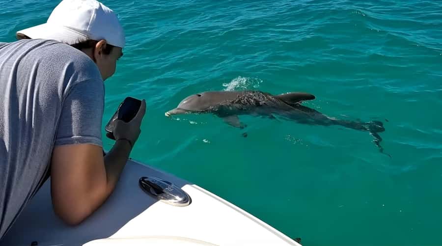 Dolphin & Snorkeling Key West - Snacks, drinks, and the relaxed BYOB setup