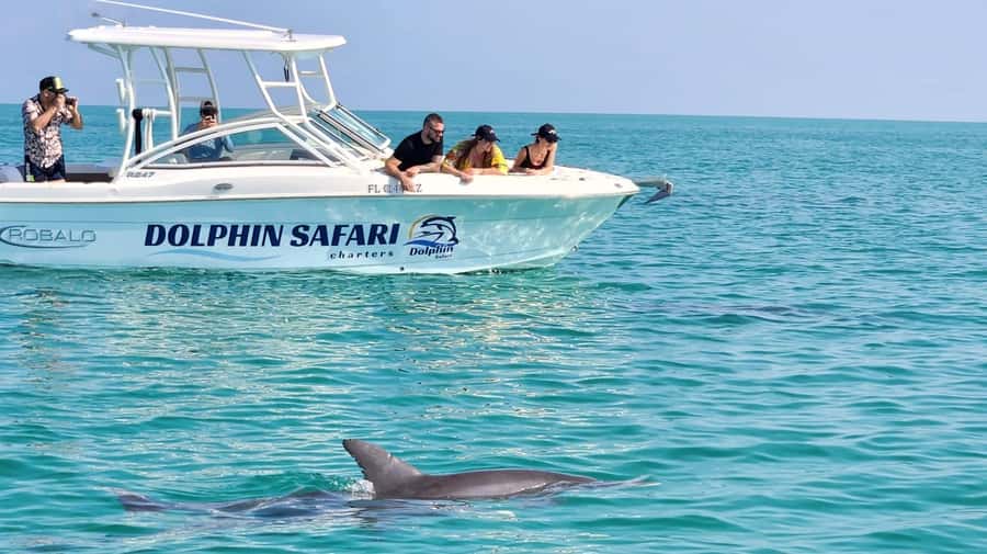 Dolphin & Snorkeling Key West - The dolphin search comes first