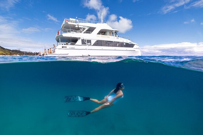 Dolphin & Tangalooma Wrecks Snorkel Cruise & Lunch - Brisbane - Quick takeaways for planning your day
