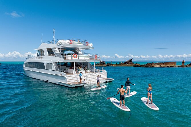 Dolphin & Tangalooma Wrecks Snorkel Cruise & Lunch - Brisbane - Buffet lunch with prawns, salads, and room to eat