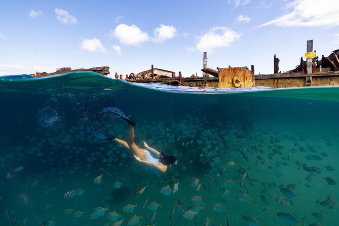 Dolphin & Tangalooma Wrecks Snorkel Cruise & Lunch - Brisbane - Who will enjoy this Moreton Island day?