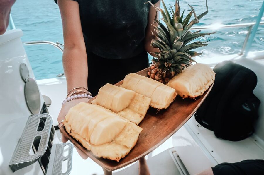 Dolphin Watch Snorkel and BBQ in Kona, Big Island - Key points before you book