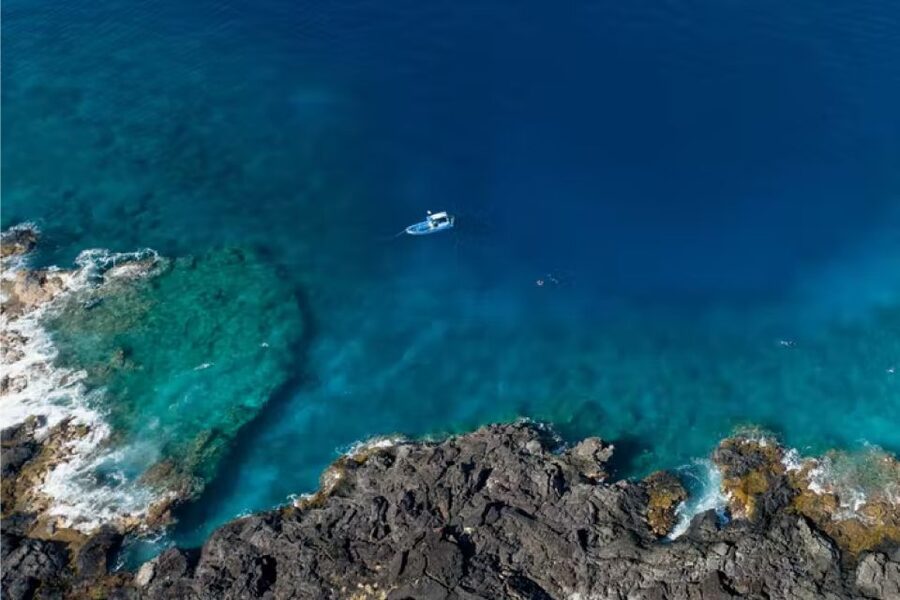 Dolphin Watch Snorkel and BBQ in Kona, Big Island - Sea turtles, reef fish, and the limits of nature