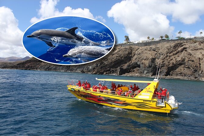 Dolphin Watching Mini Cruise and Snorkeling from Lanzarote - Key points to know before you book