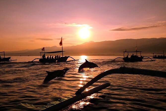 Dolphin Watching Tour, Swimming with Dolphins and Snorkeling - The early ride from Ubud to Lovina Beach