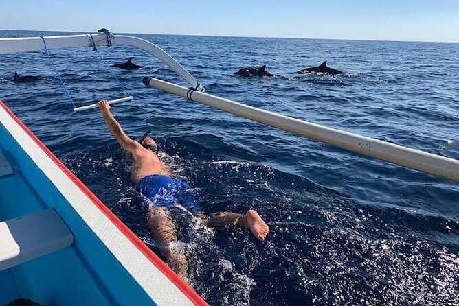 Dolphin Watching Tour, Swimming with Dolphins and Snorkeling - What the $21.39 price really covers