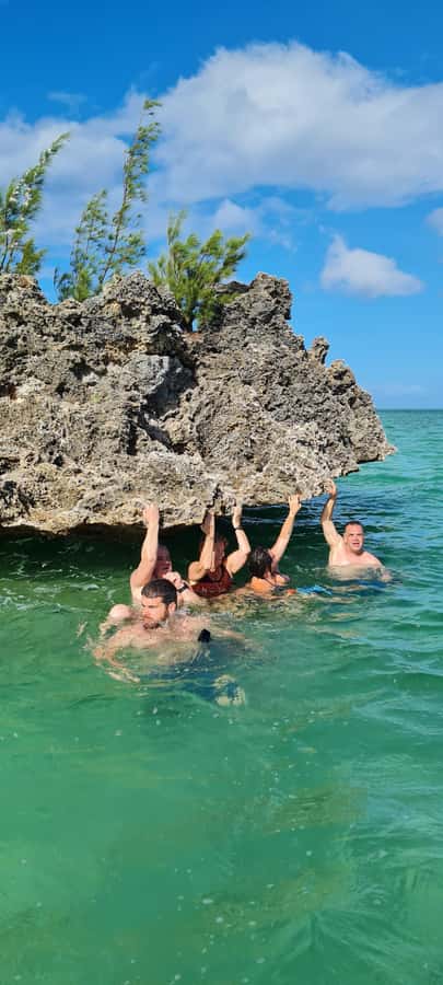 Dolphins: Private, Snorkel, CrystalRock, ileoBenitiers,lunch - Key points at a glance
