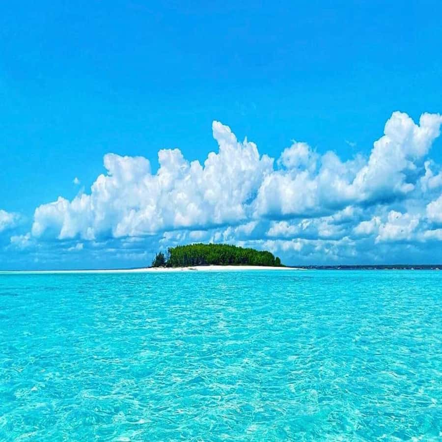 Dolphins & Snorkeling Zanzibar: Mnemba Island Tour - Why Mnemba Atoll makes a good half-day trip