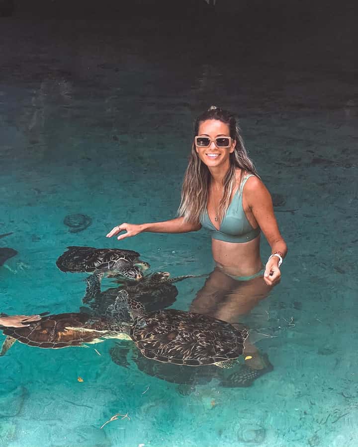 Dolphins tour + mnemba island snorkeling + salaam turles - Key points to know before booking
