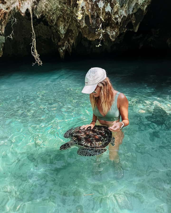 Dolphins tour + mnemba island snorkeling + salaam turles - The speedboat ride to Mnemba Atoll