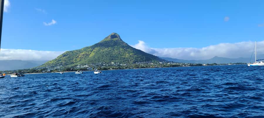 Dolphins & Whales, Private Tour Snorkeling - Guides, Language, and the Private Setup