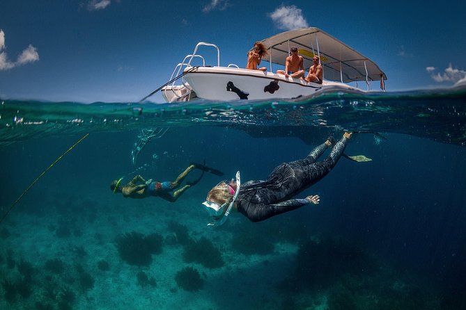 Double Dip Snorkel Trip - Key points to know before booking