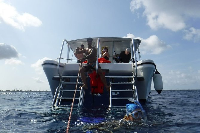 Double Dip Snorkel Trip - Setting out from Harbour Village Marina