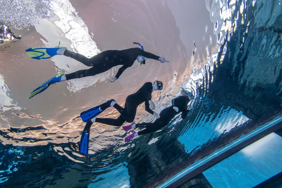 Dubai: Snorkeling at Deep Dive World's Deepest Pool - What This Dubai Pool Experience Really Involves