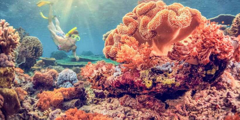 East Bali: Snorkeling Day Trip to Amed - The Amed snorkeling day at a glance