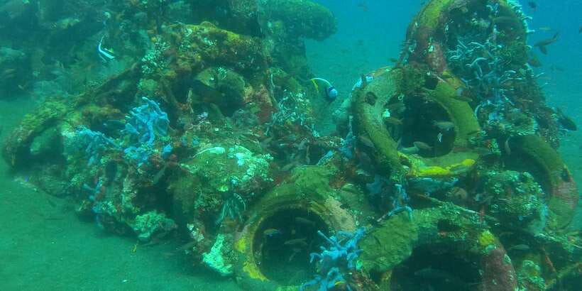 East Bali: Snorkeling Day Trip to Amed - Leaving your hotel for the long ride east