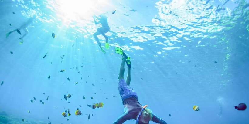 East Bali: Snorkeling Day Trip to Amed - What you can see below the surface