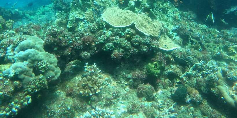 East Bali: Snorkeling Day Trip to Amed - Who will enjoy this day most?
