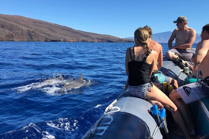 Eco-Raft Tour: Maui-Lanai Snorkel / Dolphin Watch (Semi-Private) - Dolphin watching without the snorkeling