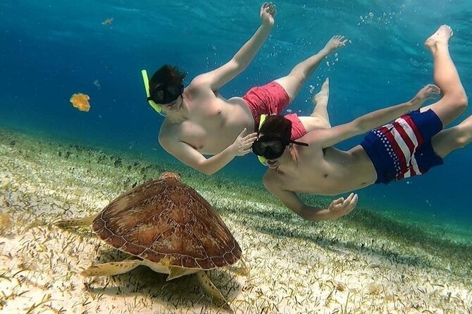 El Cielo Cozumel Snorkel tour by Catamaran - Key points before you book