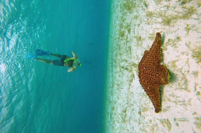 El Cielo Cozumel Snorkel tour by Catamaran - What the four-hour outing is really like
