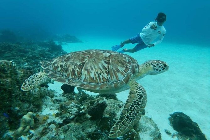 El Cielo Cozumel Snorkel tour by Catamaran - Food, drinks, music, and the social side