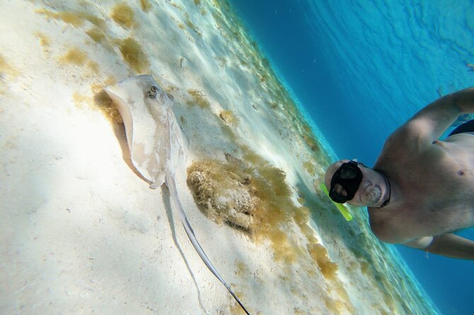 El Cielo Cozumel Snorkeling trip by Catamaran - Who will enjoy this Cozumel outing?