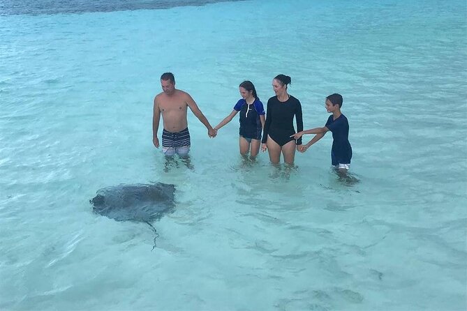 El Cielo Cozumel Snorkeling trip by Catamaran - What you may see at Palancar and Columbia reefs