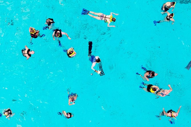 El Cielo Snorkel by Private Boat - Ceviche, margaritas, and a floating lunch break