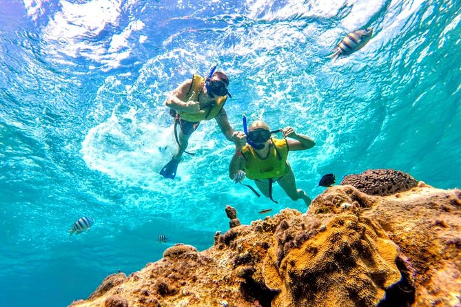 El Cielo Snorkel by Private Boat - A quiet beach ending at Tortugas