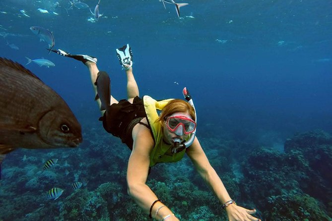 El Cielo Snorkel by Private Boat - Health, age, and sun rules matter
