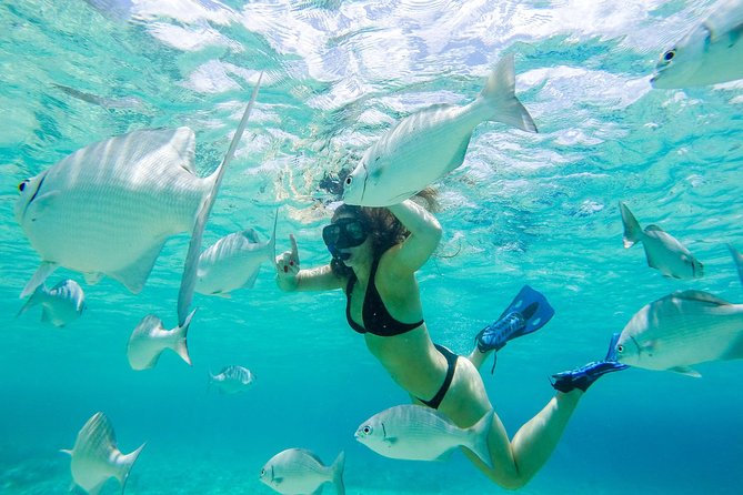 El Cielo Snorkel by Private Boat - Chankanaab Reef: a strong first stop