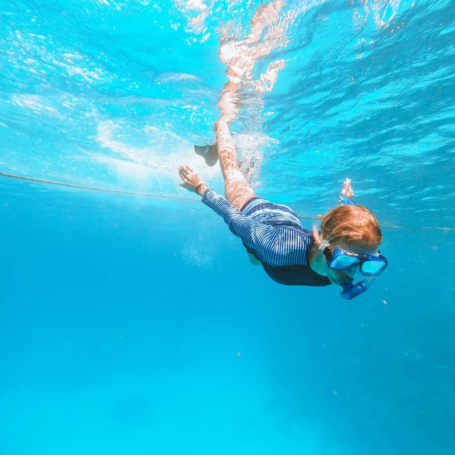 El Gouna: Red Sea Snorkeling Adventure with Transfers - First reef stop: clear water and fish close to the surface