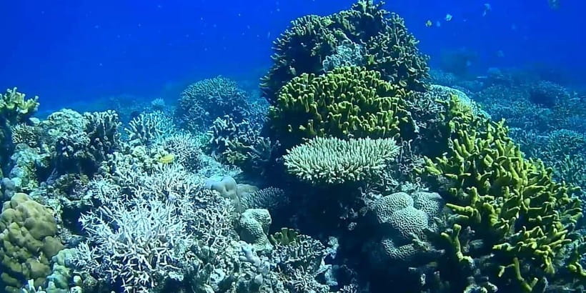 El Nido, Sibaltan: Private Snorkeling & Secret Islands Tour - Is $52 a fair price?