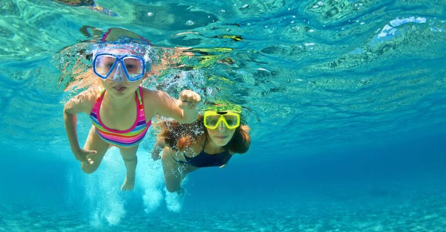 Emerald Coast: Afternoon Snorkel & Dolphin Tour - Starting at 189 Brooks Street Southeast
